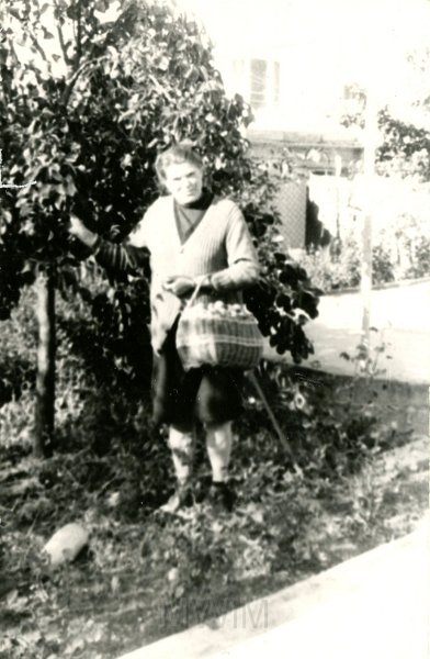 KKE 4825.jpg - Fot. Portret. Jadwiga Jarzynowska (z domu Siemaszko) – mama Marii Jolanty Mierzejewskiej (z domu Jarzynowska), Olsztyn, lata 60-te XX wieku.